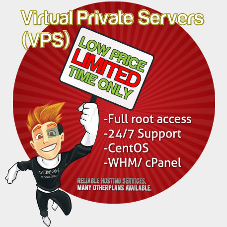 Virtual Private Server (VPS)